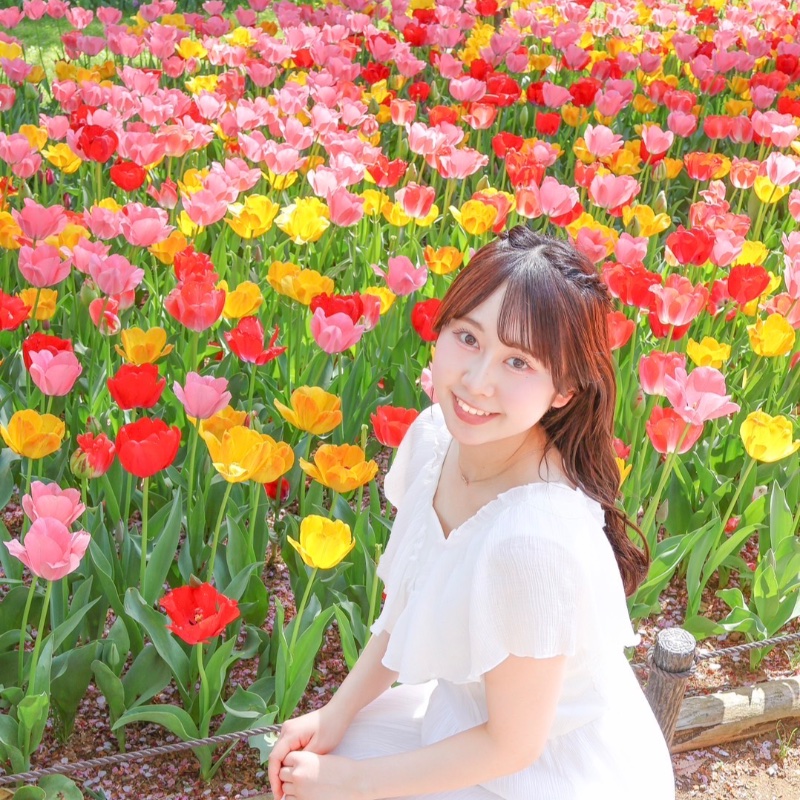 山本雪月花