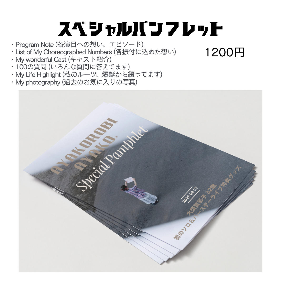 スペシャルパンフレット